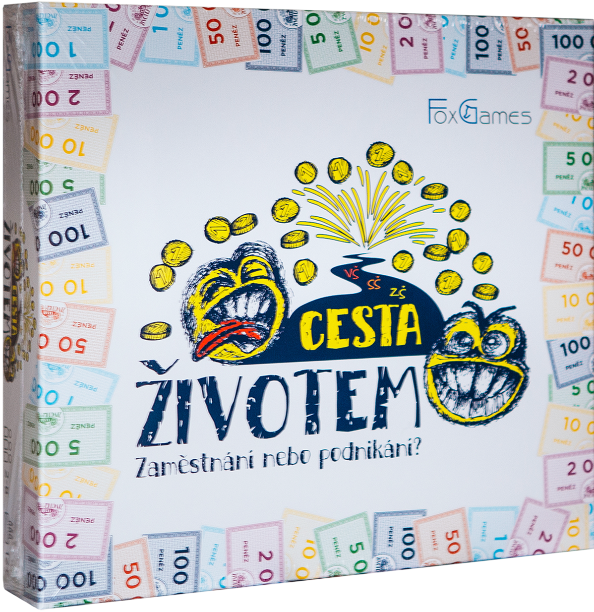 Cesta životem